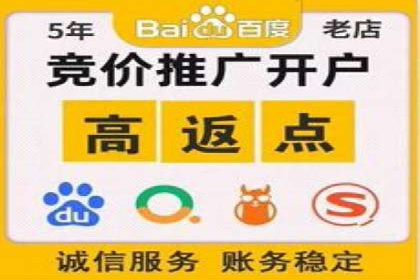 某企业通过SEM实现品牌与销售双增长的案例